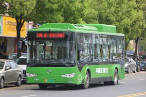 RA044-浙C08565D-瑞安8路-XMQ6106.jpg