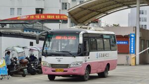 浙CL2901-乐清223路-MD6668.jpg