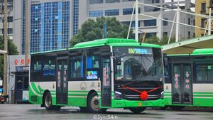 浙C30586D-瑞安106路-HFF6855.jpg