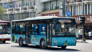 11294-浙C35572-95路-ZK6105.jpg