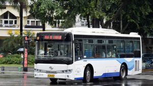 202-浙CM6957-瑞安9路-XMQ6931.jpg