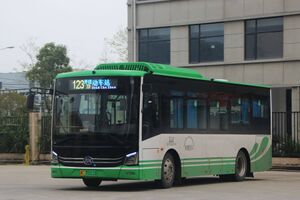 浙C35511D-瑞安123路-HFF6855.jpg