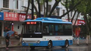 10623-浙C08698D-123路-ZK6650.jpg