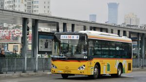 11583-浙C19615-56路-KLQ6920.jpg