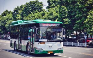 20299-浙C51133-66路-XMQ6106.jpg