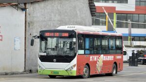 浙C02272D-乐清511路-LCK6809.jpg