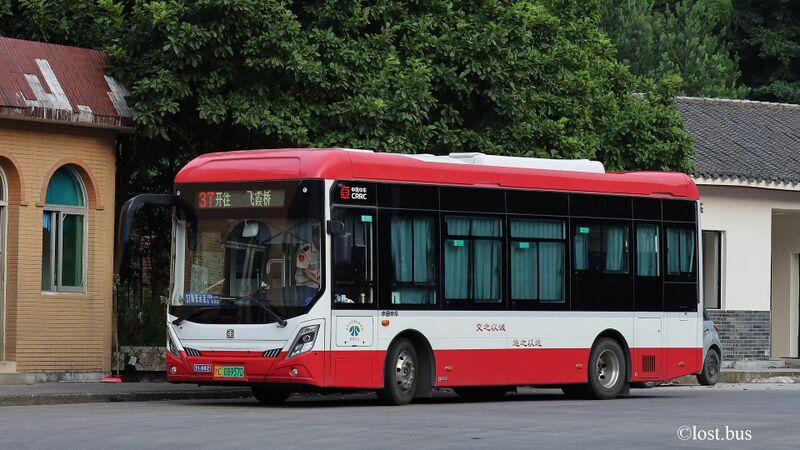 文件:11882-浙C08957D-37路-CSR6854-2.jpg