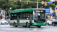 99610-浙C09167D-B501路-XMQ6115.jpg