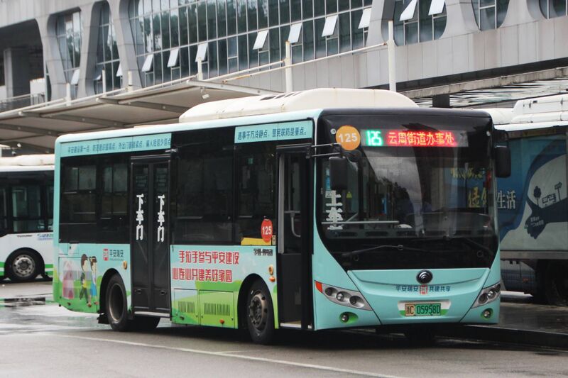 文件:浙C05958D-瑞安125路-ZK6850-2.jpg