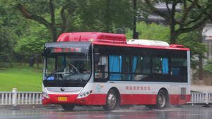 11453-浙C50503-15路-ZK6850.jpg