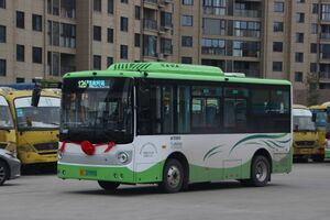 浙C37999D-瑞安126路-XMQ6650.jpg