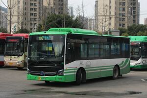 浙C30897D-瑞安103路-HFF6855.jpg