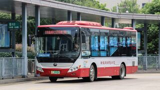 ZK6850CHEVPG36