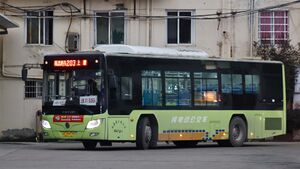 浙CB9979-永嘉203路-BJ6105.jpg