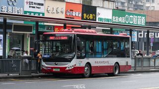 ZK6850CHEVPG36