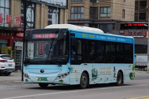 浙C06900D-瑞安118路-ZK6850.jpg