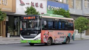 浙C01377D-乐清608路-LCK6669-2.jpg