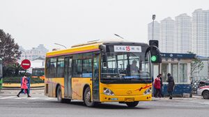 11580-浙C16075-15路-KLQ6920.jpg