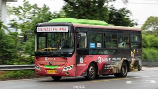 ZK6775HG1（机动车）