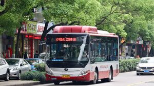 11846-浙C50373-129路-ZK6850.jpg