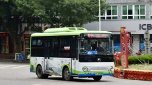 718241-浙C07839D-洞头2路-ZK6650.jpg