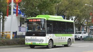 浙C07087D-乐清351A路-ZK6605.jpg