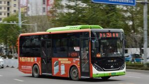 浙C06782D-乐清251路-ZK6856.jpg