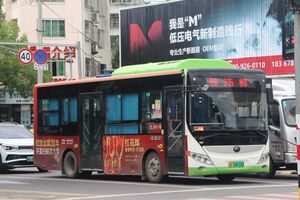 浙C08618D-乐清215路-ZK6850.jpg