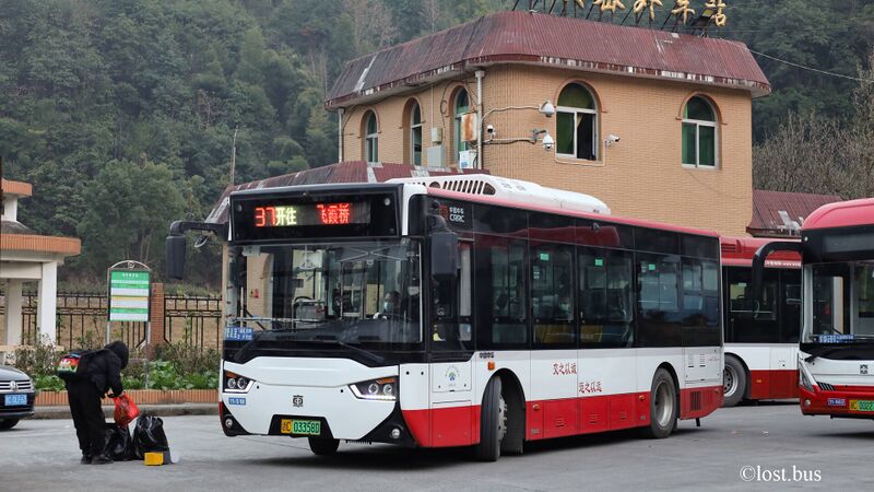 文件:11518-浙C03358D-37路-CSR6853-2.jpg