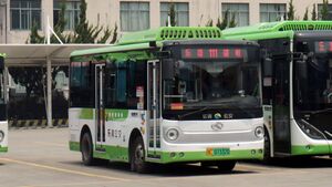 浙C07332D-乐清111路-XMQ6650.jpg