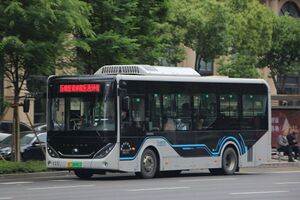 RA233-浙C08961D-瑞安16路-ZK6856.jpg