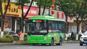 浙C09196D-平阳206路-KLQ6605.jpg