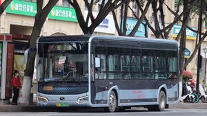 20130-浙C06575D-9路-XMQ6105.jpg