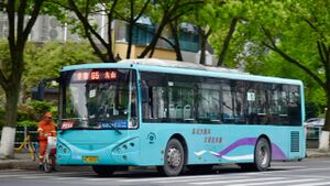 11190-浙C28763-65路-SWB6107.jpg