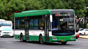 99600-浙C09728D-B501路-XMQ6115.jpg