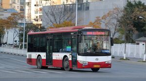 99260-浙C35385-B107路-XMQ6106-2.jpg