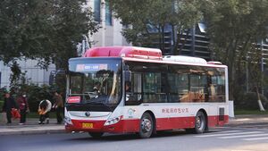 11456-浙C50501-瞿溪会市临时线路-ZK6850.jpg