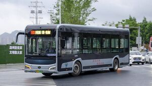 12503-浙C01685D-103路-XMQ6115.jpg