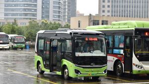 浙C06811D-乐清6路-XMQ6601.jpg