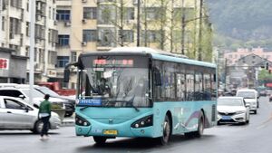 11133-浙C28563-7路-SWB6107.jpg