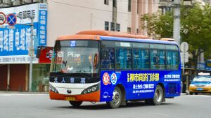 浙CE8305-乐清212路-ZK6741.jpg