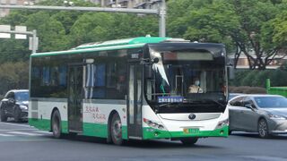 ZK6105CHEVPG36