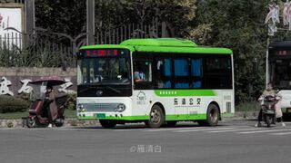 ZK6650BEVG23