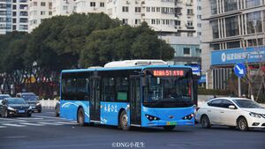 浙C02013D-永嘉51路-BYD6100.jpg