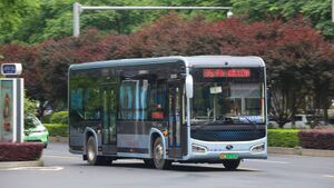 10755-浙C00791D-36路-XMQ6105.jpg