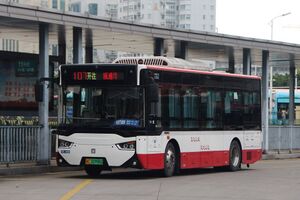 12449-浙C02996D-107路-CSR6853-2.jpg