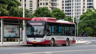 ZK6850CHEVPG21