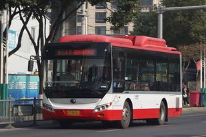 RA209-浙CM8061-瑞安17路-ZK6850.jpg