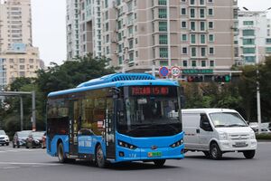 176-浙C06682D-瑞安15路-BYD6850.jpg