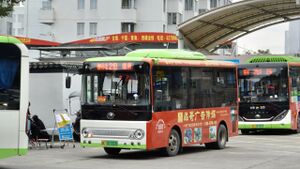 浙C01312D-乐清218路-ZK6650.jpg